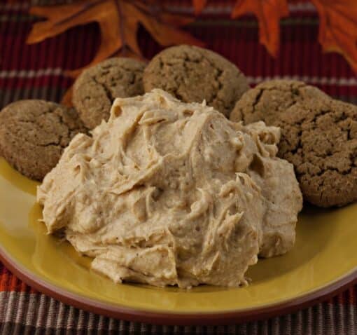 Natural Pumpkin Pie Dip Mix