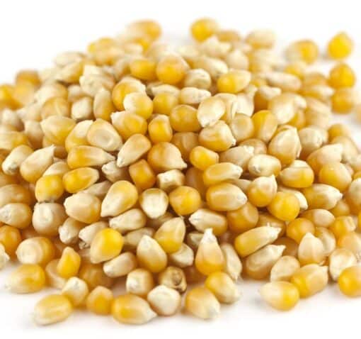 Yellow Popcorn