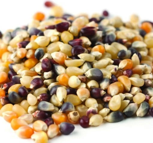Rainbow Popcorn