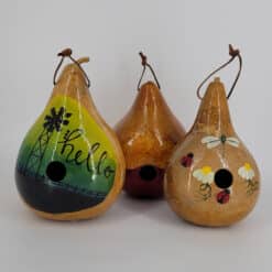 Deluxe Gourd (Assorted Designs)