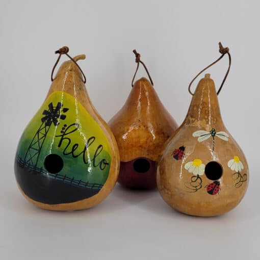 Deluxe Gourd (Assorted Designs)
