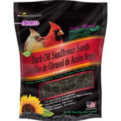 Sunflower Seeds