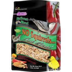 No Squirrels Just Birds Birdseed