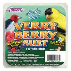 Verry Berry Suet Cakes