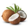 Fresh Coconut